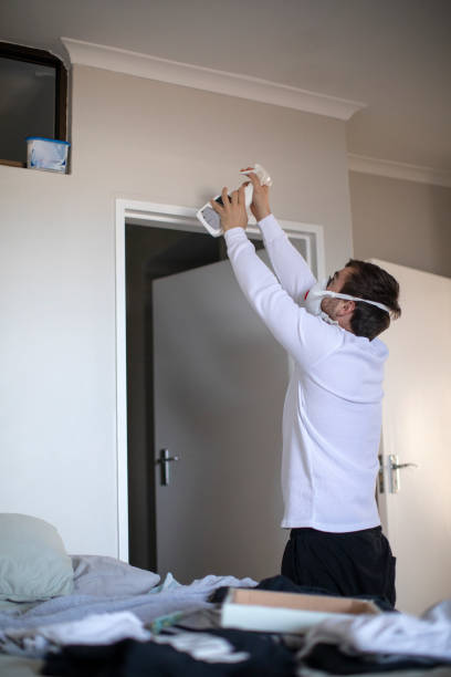 Best Mold Documentation for Insurance Claims  in Centennial, CO
