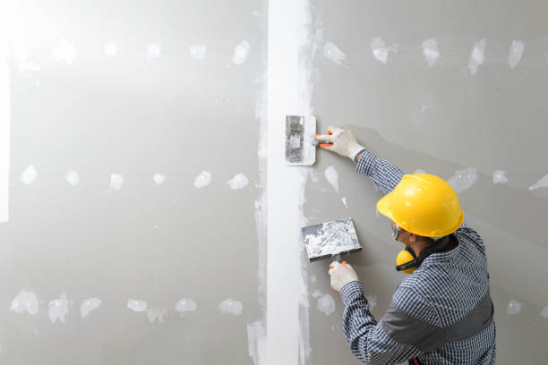 Mold Remediation for Rental Properties in Centennial, CO