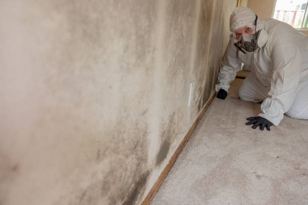 Best Dehumidification Services  in Centennial, CO